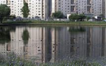 В Москве ищут подрядчика для реабилитации прудов