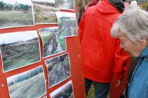 Природоохранная прокуратура пытается прекратить незаконную стройку в Битцевском лесу