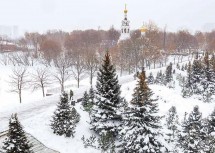 В Москве высадили 25 тысяч хвойных растений на вылетных магистралях