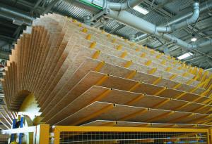 Под Костромой построят завод по производству древесных плит