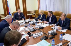 Совет Федерации изучил ситуацию со строительными процедурами