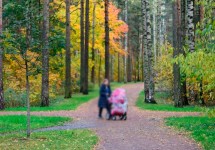 Петербург реконструирует улично-дорожную сеть у парка Сосновки