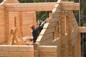 Реестр типовых проектов деревянного домостроения сформируют к июлю