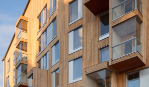 Минстрой расширяет возможности деревянного домостроения
